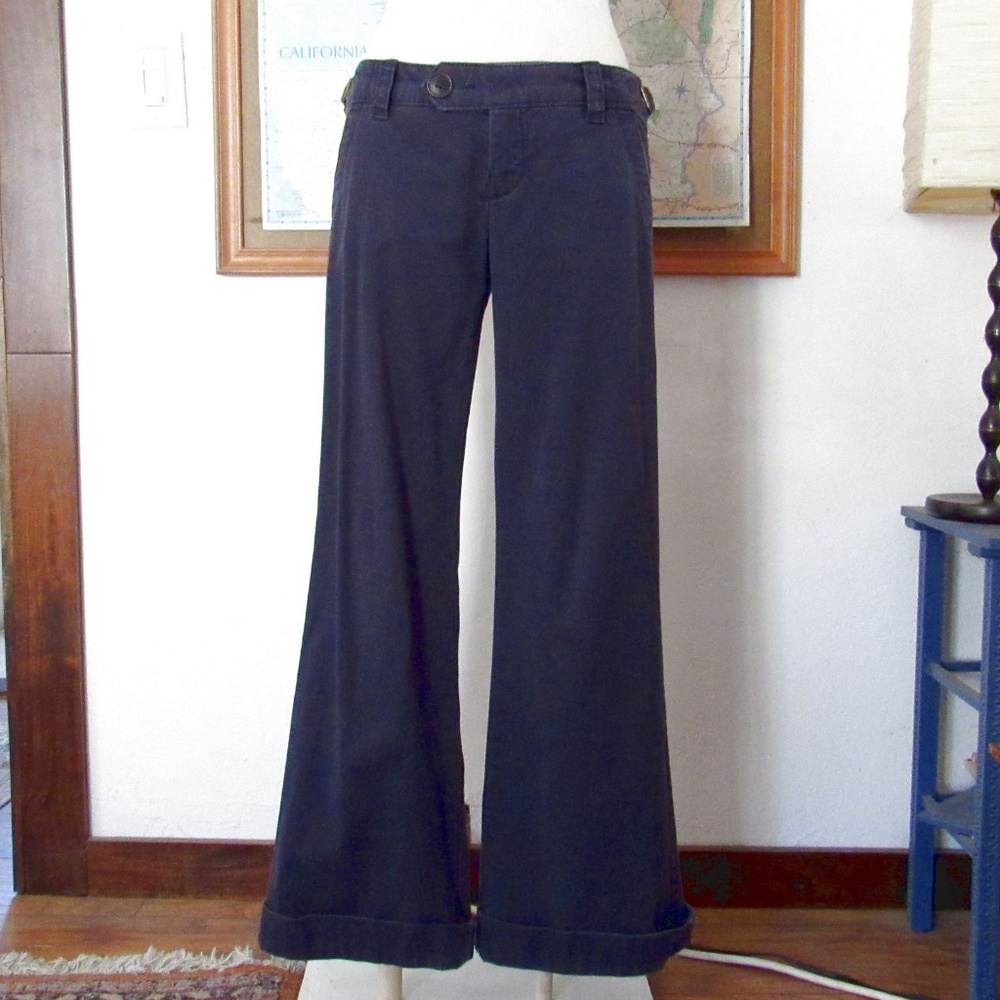 Wide Leg Corduroy Pants American Eagle Size 4 / 5